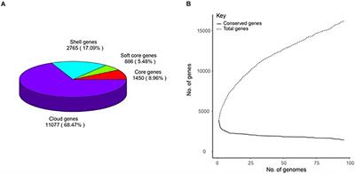 Comparative Genome Analysis of Bacillus amyloliquefaciens Focusing on Phylogenomics, Functional Traits, and Prevalence of Antimicrobial and Virulence Genes